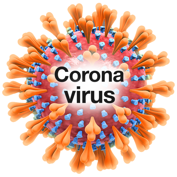 A picture of the Coronavirus
