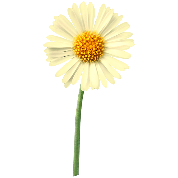 Flower A woman supporting an upset person